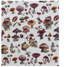 Load image into Gallery viewer, re:roll cloth towels Wholesale
